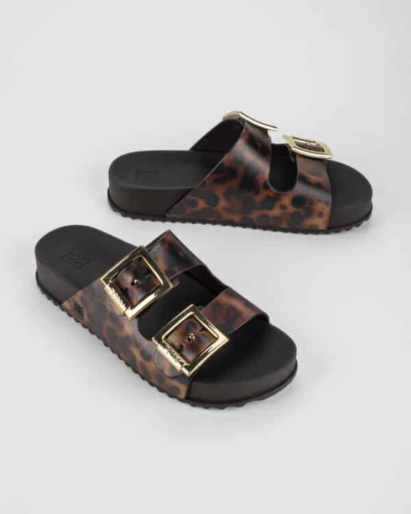 ZAXY Partner Black Leo – Bild 4
