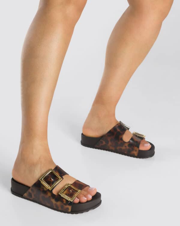 ZAXY Partner Black Leo – Bild 5