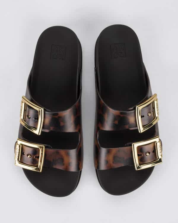 ZAXY Partner Black Leo – Bild 3