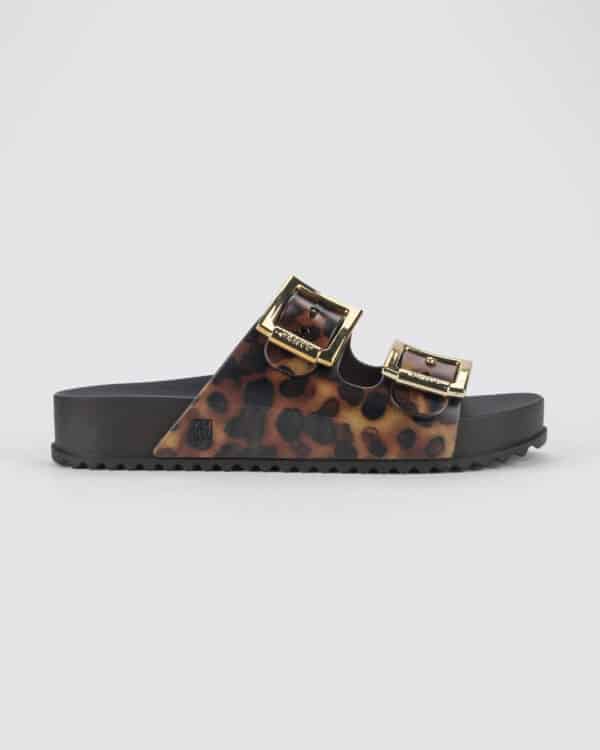 ZAXY Partner Black Leo – Bild 2
